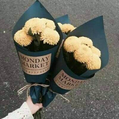 bb平台体育app官网